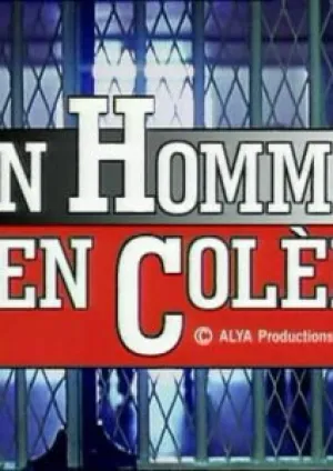 Мистер Правосудие (1997)