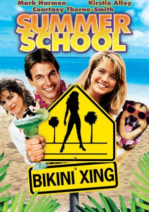 Летняя школа (1987)