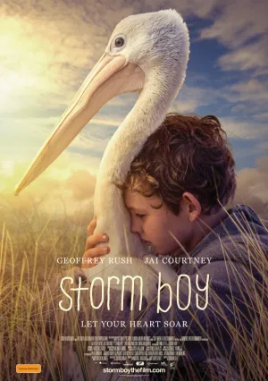 Штормовой мальчик (2019)