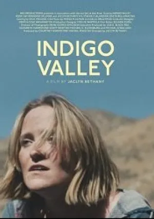 Долина индиго (2020)