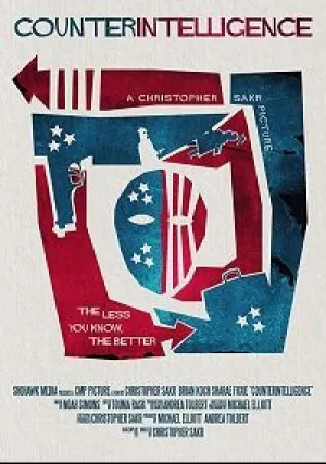 Контрразведка (2020)