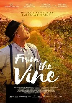 Лоза винограда (2019)