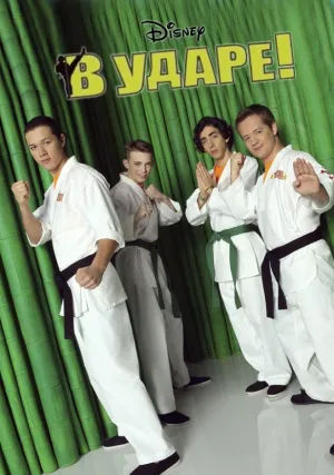 В ударе (сериал 2011)