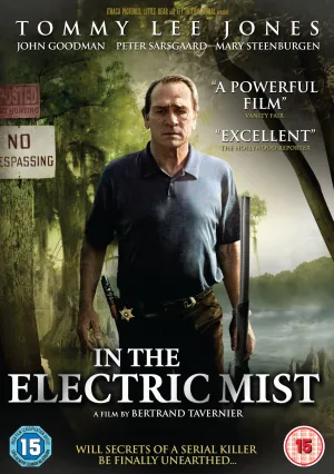 В электрическом тумане (2009)