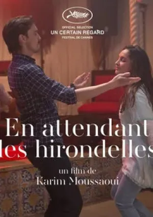 Когда вернутся птицы (2017)