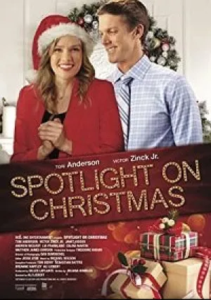 Все внимание на Рождество (2020)