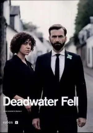 Падение в мёртвые воды (сериал 2020)