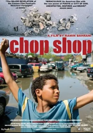 На запчасти (2007)