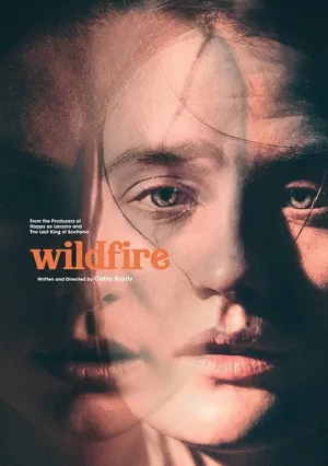 Из огня да в полымя (2020)