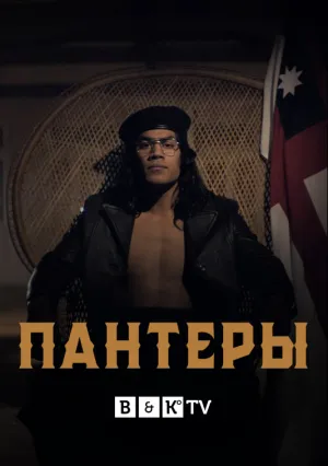 Пантеры (сериал 2021)
