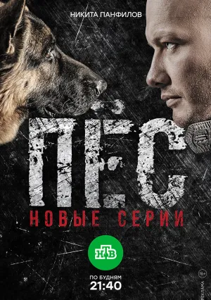 Пёс (сериал 2025)
