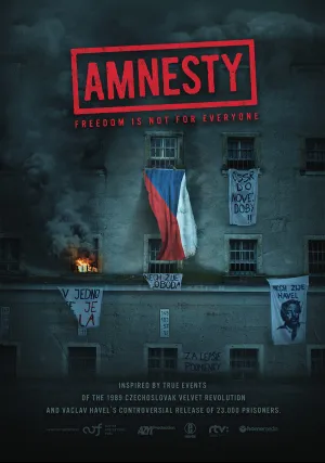 Амнистия (2019)