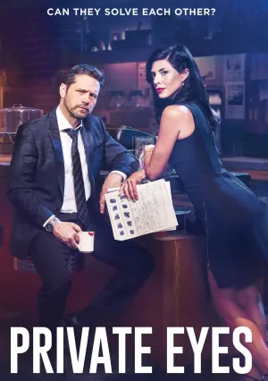 Частные сыщики (сериал 2016)