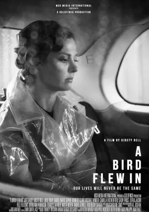 Залётная птица (2021)