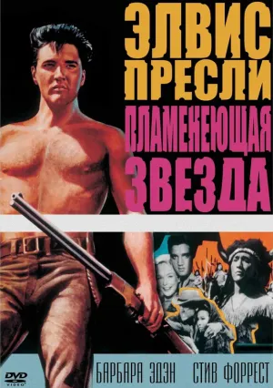 Пламенеющая звезда (1960)