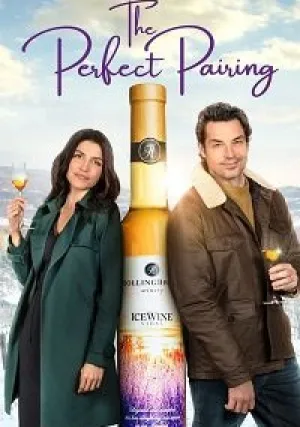 Идеальное сочетание (2022)