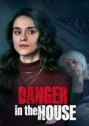 Опасность в доме (2022)