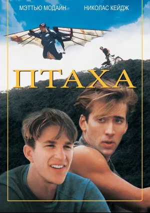 Птаха (1984)