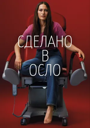 Сделано в Осло (сериал 2022)