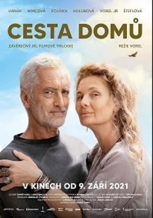 Дорога к дому (2021)