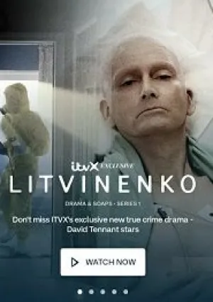 Литвиненко (сериал 2022)