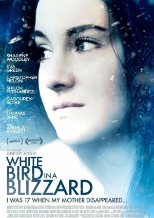 Белая птица в метели (2014)