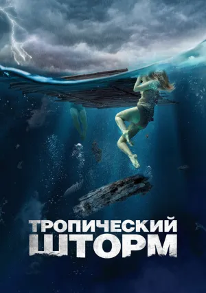 Тропический шторм (2022)