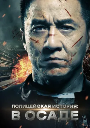 Полицейская история 2013 (2013)