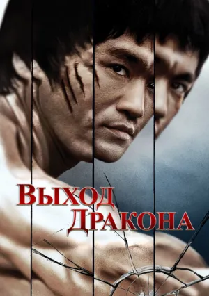 Выход Дракона (1973)