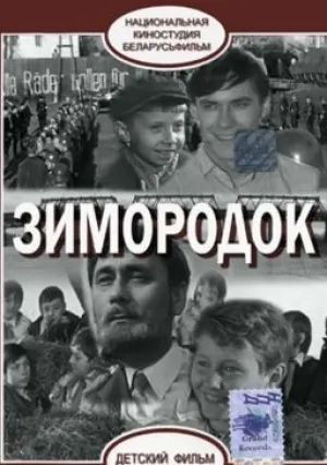 Зимородок (1972)