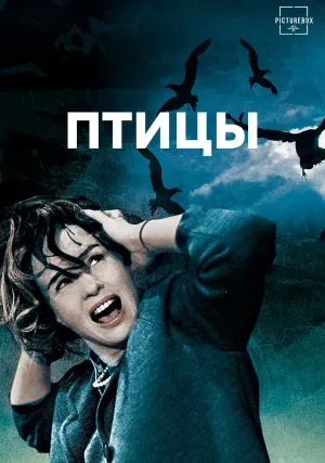 Птицы (1963)