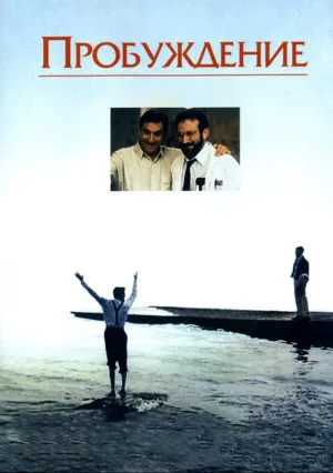 Пробуждение (1990)