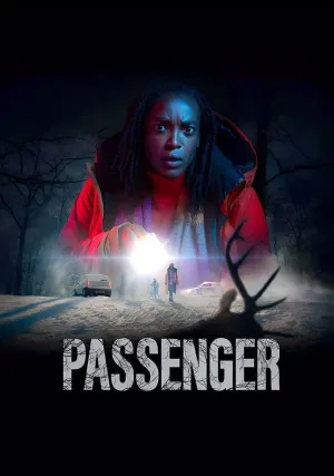 Пассажир (сериал 2024)