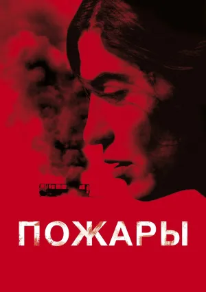 Пожары (2010)