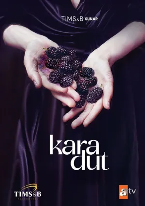 Черная шелковица (сериал 2024)