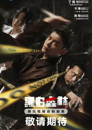 Черно-белый лес (сериал 2024)