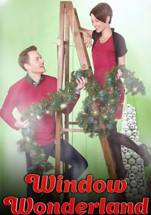 Окно в страну чудес (2013)