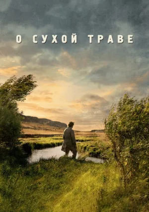 О сухой траве (2023)