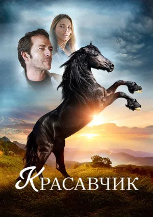 Красавчик (2015)