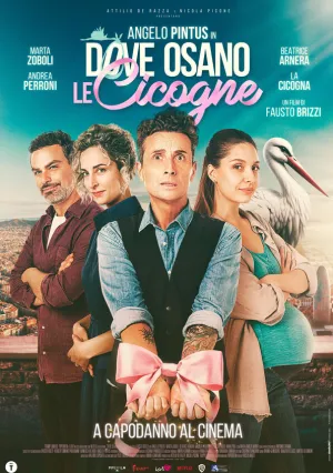 Там, где гнездятся аисты (2025)