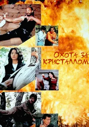Охота за кристаллом (1991)