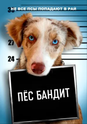 Пёс бандит (2016)