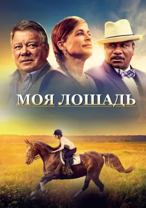 Моя лошадь (2016)