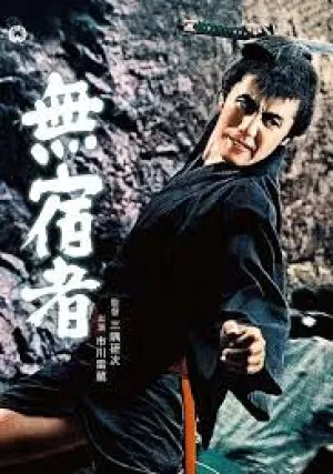 Бездомный скиталец (1964)