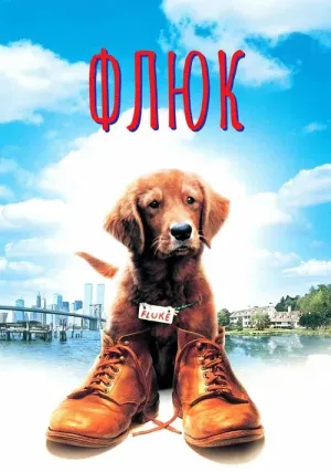 Флюк (1995)