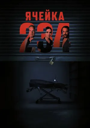 Ячейка 234 (2023)