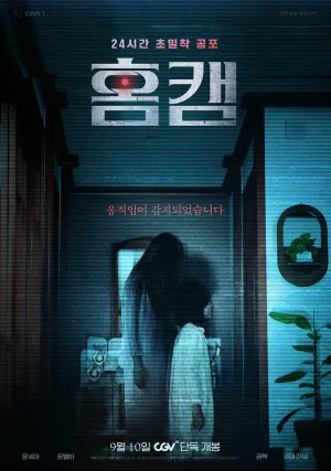 Домашняя камера (2025)