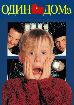 Один дома (1990)