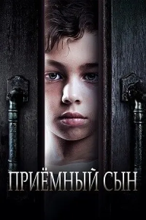 Приемный сын (2024)