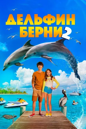 Дельфин Берни&nbsp;2 (2019)